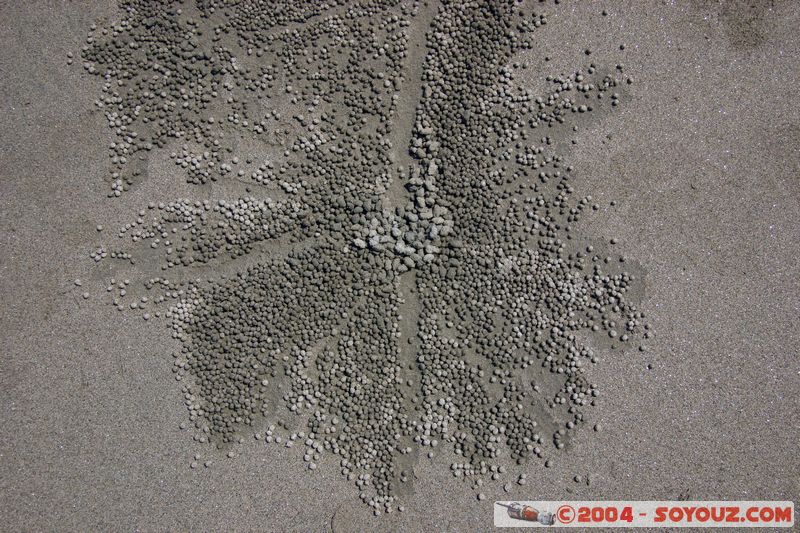 Cap Tribulation
Mots-clés: patrimoine unesco