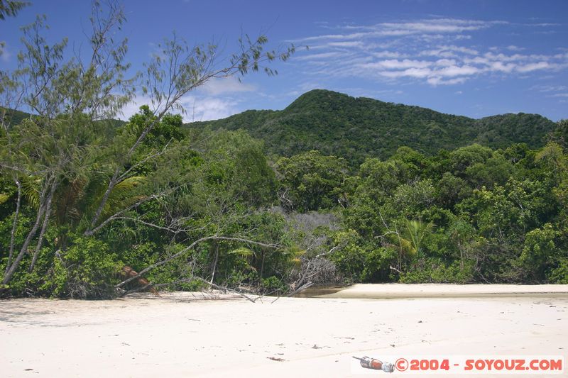 Cap Tribulation
Mots-clés: patrimoine unesco