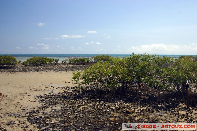 Cap Tribulation
Mots-clés: patrimoine unesco