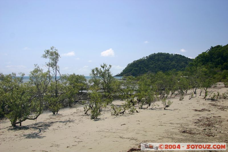 Cap Tribulation
Mots-clés: patrimoine unesco