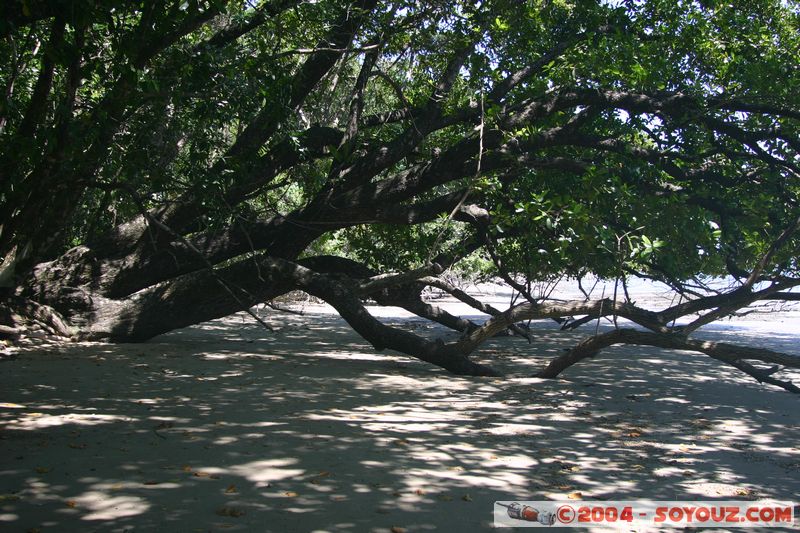 Cap Tribulation
Mots-clés: patrimoine unesco