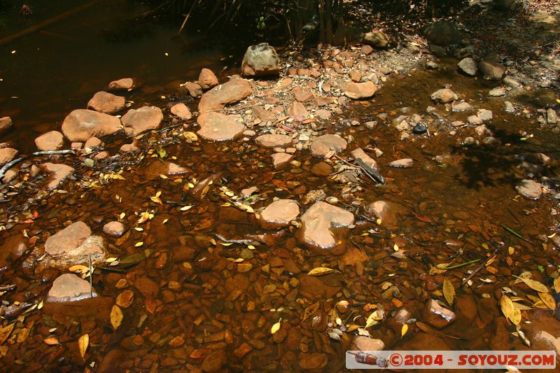 Cap Tribulation - Dubuji Walk
Mots-clés: patrimoine unesco