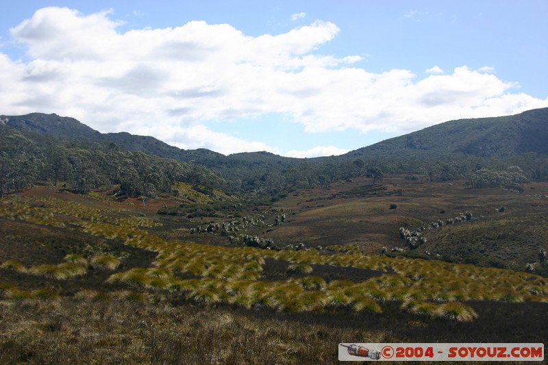 Overland Track - Cradle Valley
