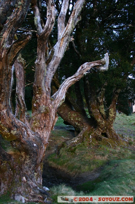 Overland Track - Waterfall Valley Hut
