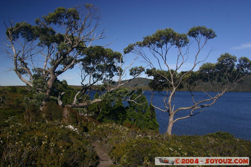 Overland Track - Lake Will
Mots-clés: Lac