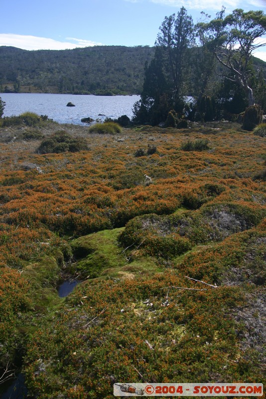 Overland Track - Lake Windermere
