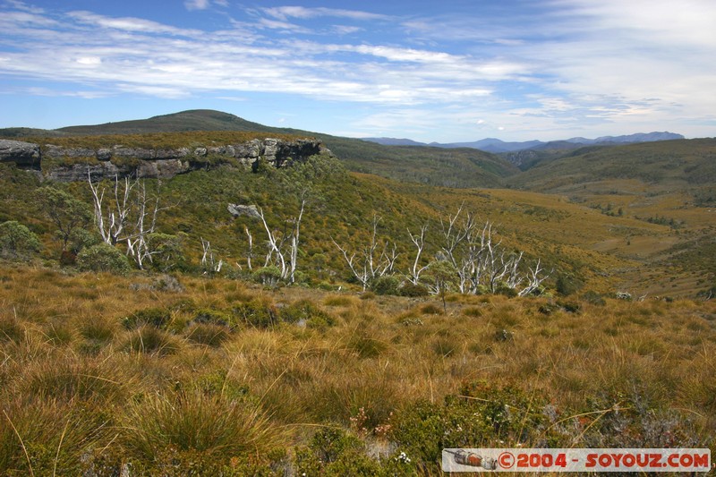 Overland Track
