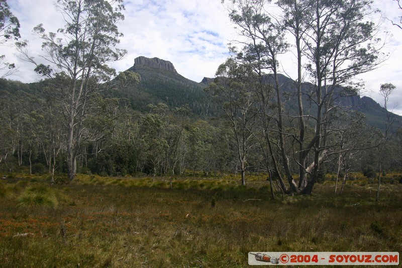 Overland Track - Frog Flats
