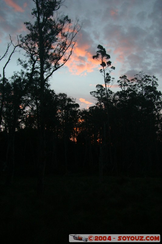 Overland Track - Pelion Plains
Mots-clés: sunset