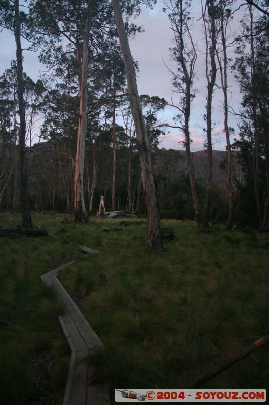 Overland Track - Pelion Plains
Mots-clés: sunset