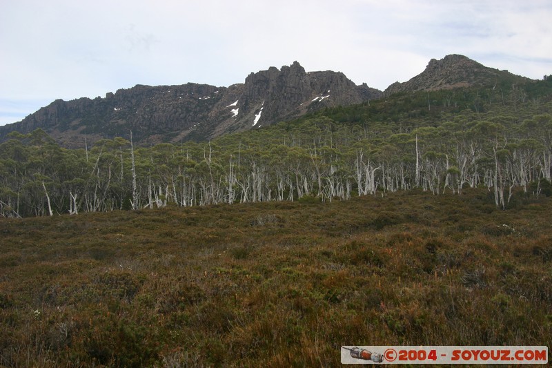 Overland Track - Pelion Gap - Mount Ossa
