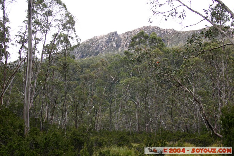 Overland Track - Cathedral Mountain
