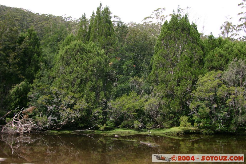 Overland Track - Hartnett Falls
Mots-clés: cascade