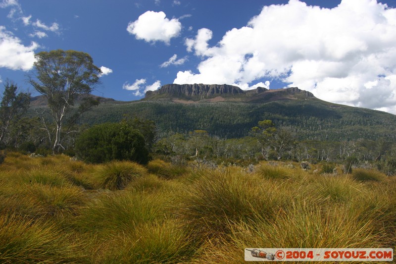 Overland Track
