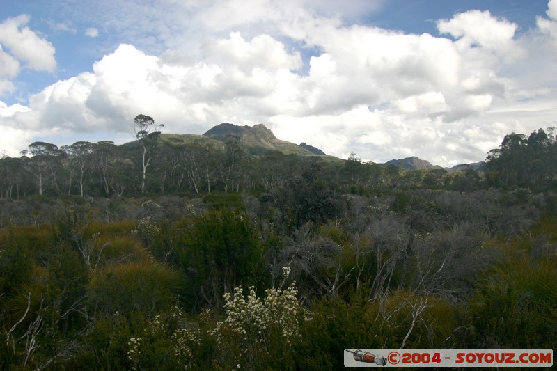 Overland Track
