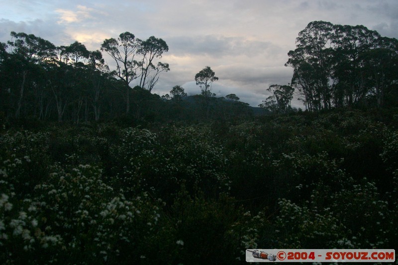 Overland Track - Marion Creek
