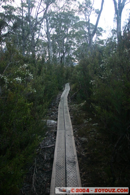 Overland Track - Marion Creek

