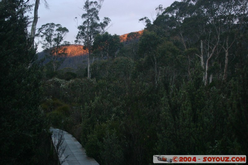Overland Track - Marion Creek at sunset
Mots-clés: sunset