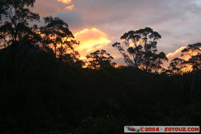 Overland Track - Marion Creek at sunset
Mots-clés: sunset