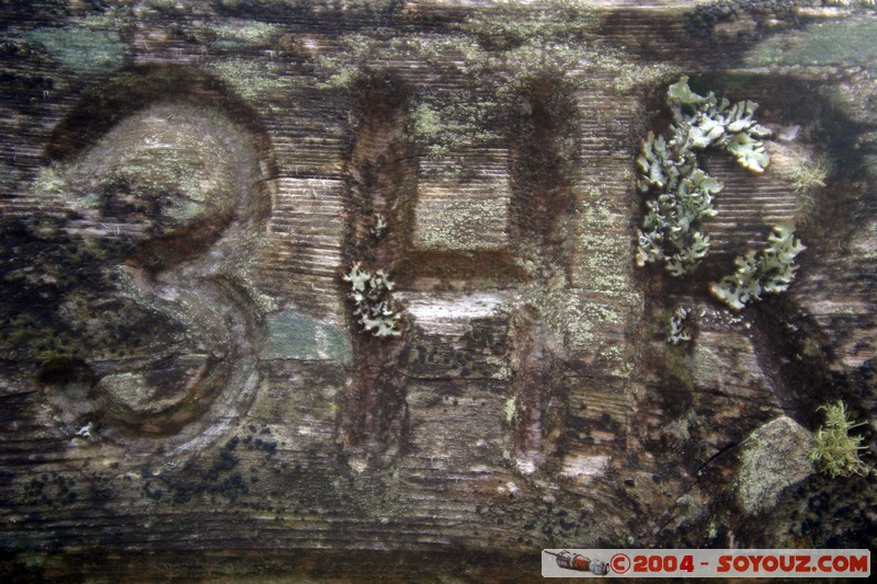 Overland Track - Time
