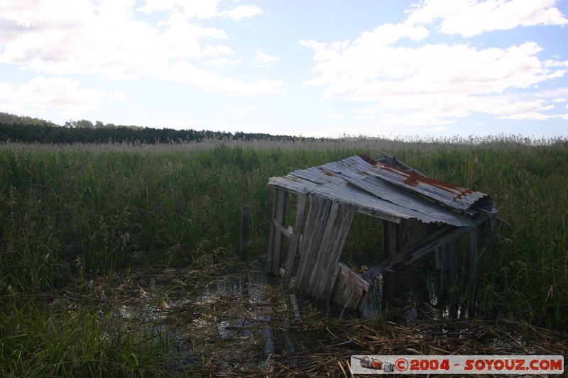 Tamar Island Wetlands park
