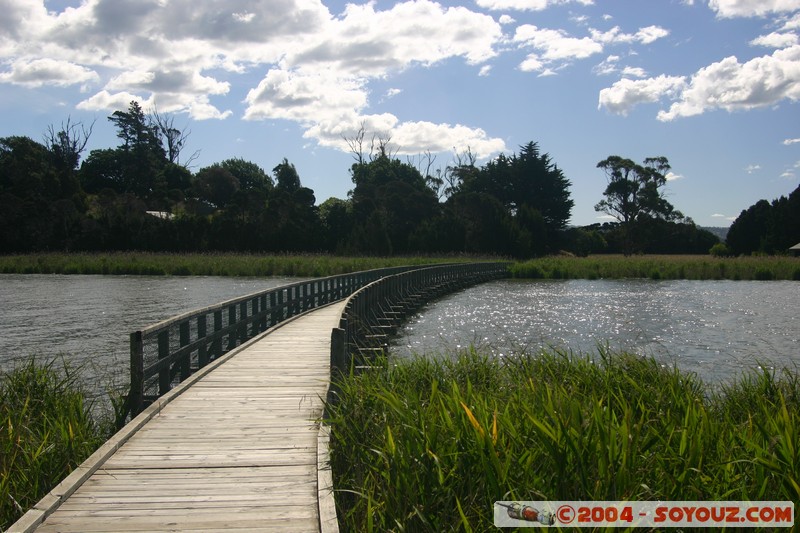 Tamar Island Wetlands park
