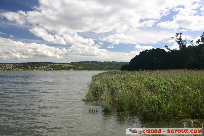 Tamar Island Wetlands park

