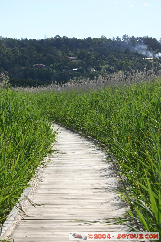Tamar Island Wetlands park
