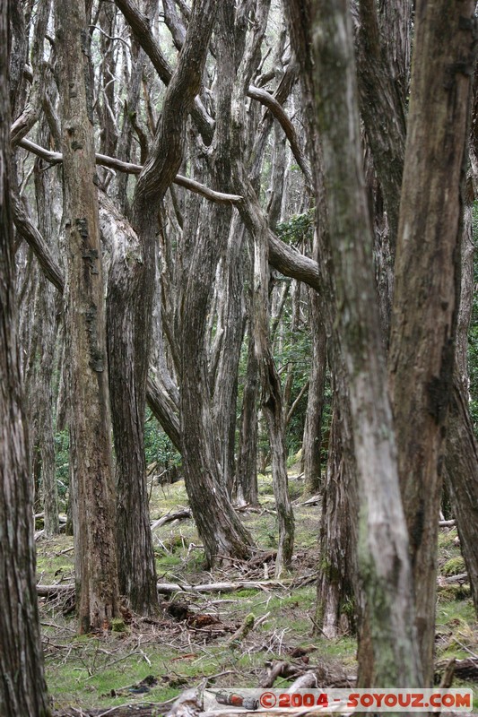 North East Trail - Ralphs Falls
