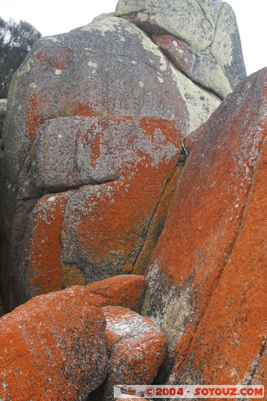 North East Trail - Bay of Fires
