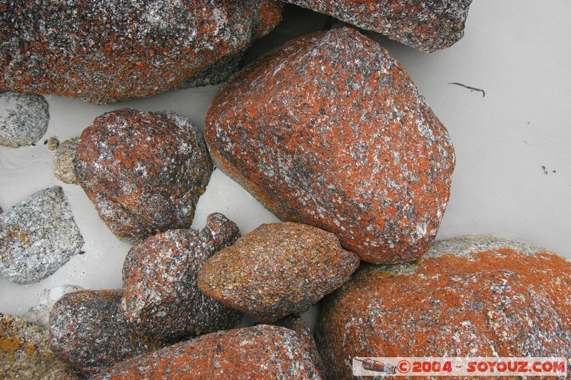 North East Trail - Bay of Fires
