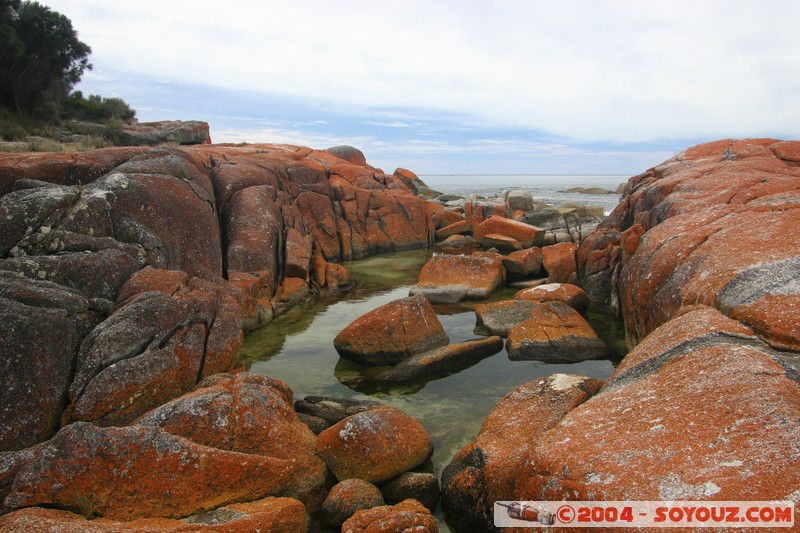 North East Trail - Bay of Fires

