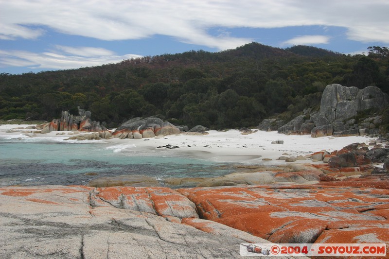 North East Trail - Bay of Fires
