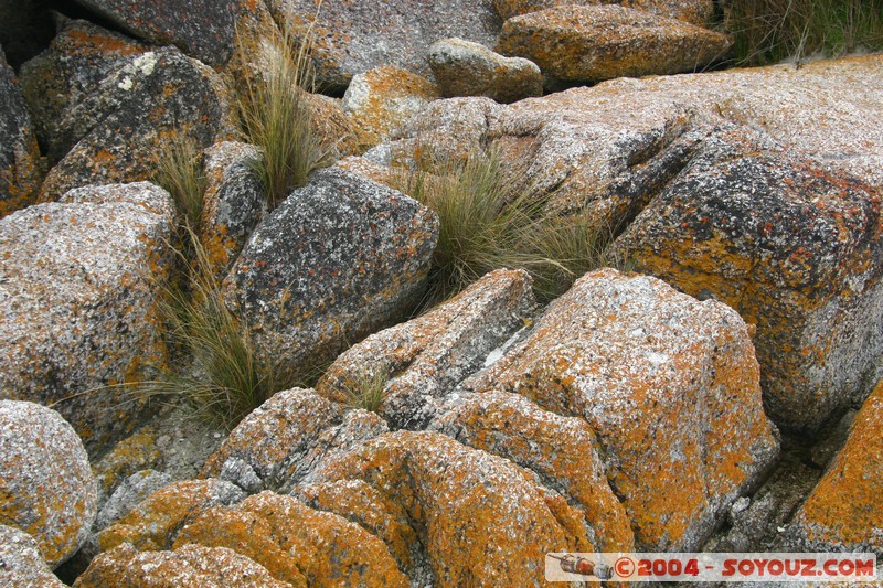 North East Trail - Bay of Fires
