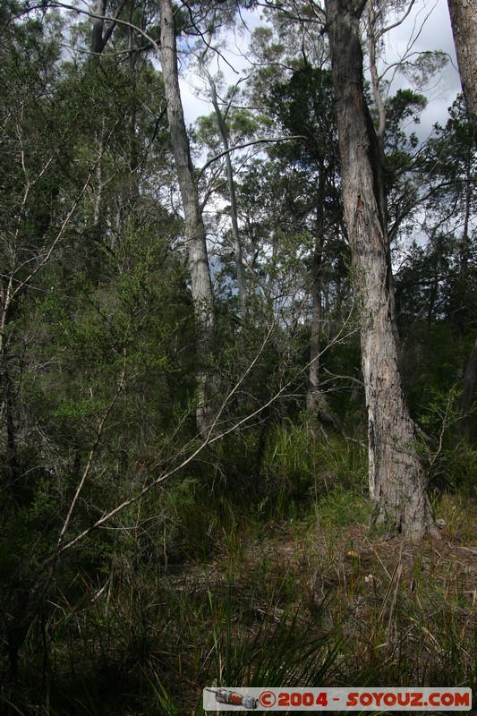 North East Trail - Elephant Pass (A4)
Mots-clés: RiviÃ¨re