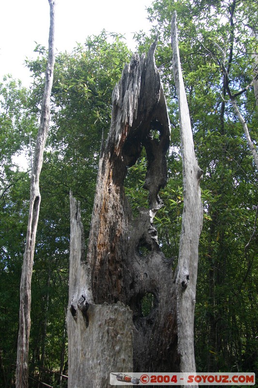 North East Trail - Elephant Pass (A4)
