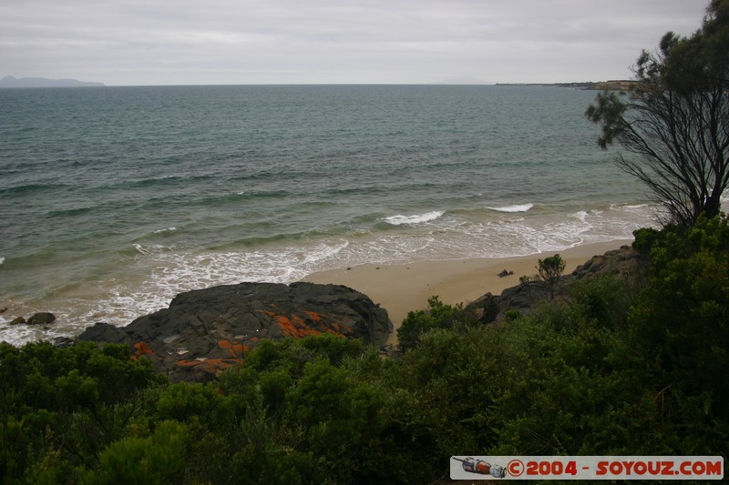 Swansea - Loon.tite.ter.mair.re.le.hoin.er.
