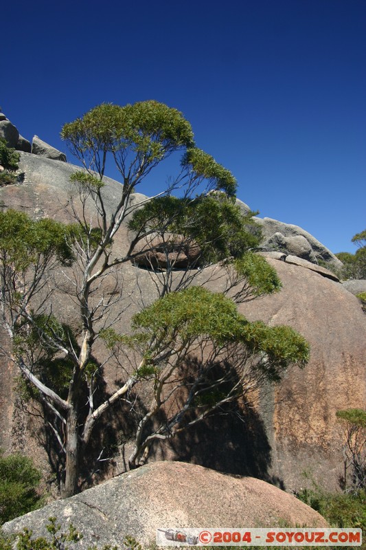 Freycinet National Park - Mt Amos
