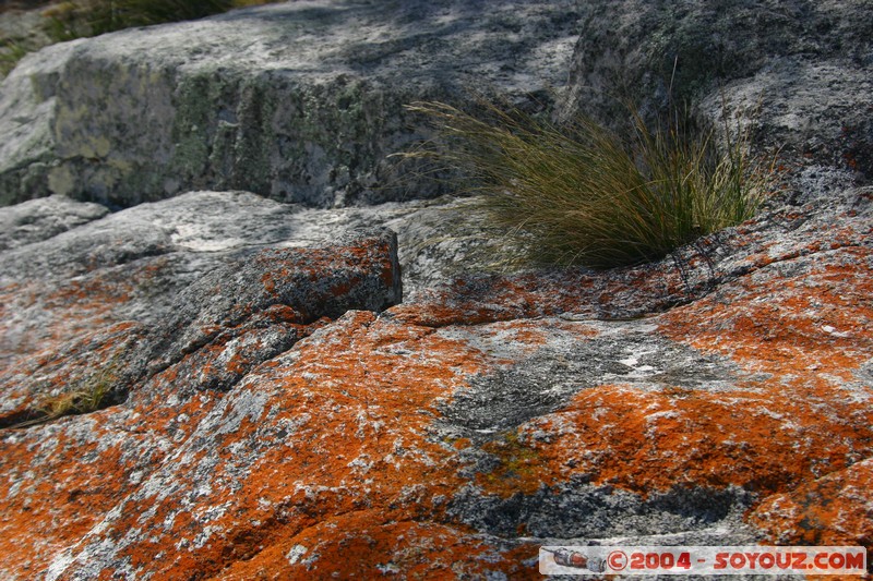 Freycinet National Park - Wineglass Bay
Mots-clés: plage