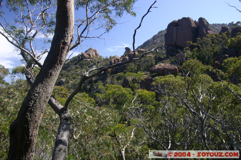 Freycinet National Park - Mt Amos
