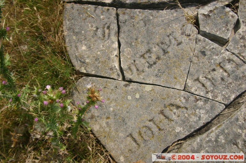 Maria Island - Cemetery
