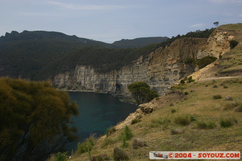 Maria Island - Fossil Cliffs
