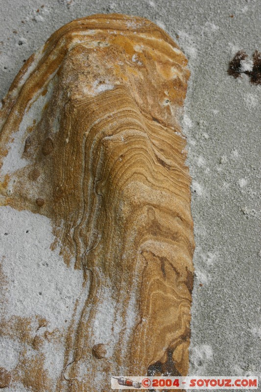 Maria Island - Painted Cliffs
