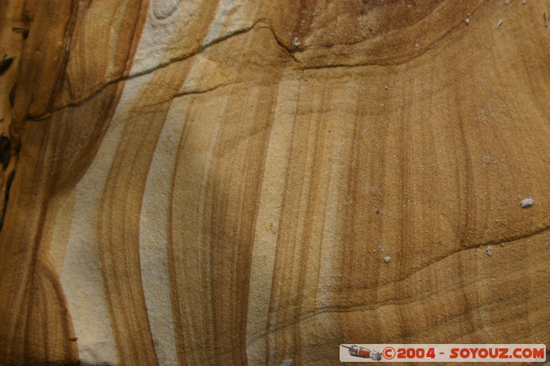 Maria Island - Painted Cliffs
