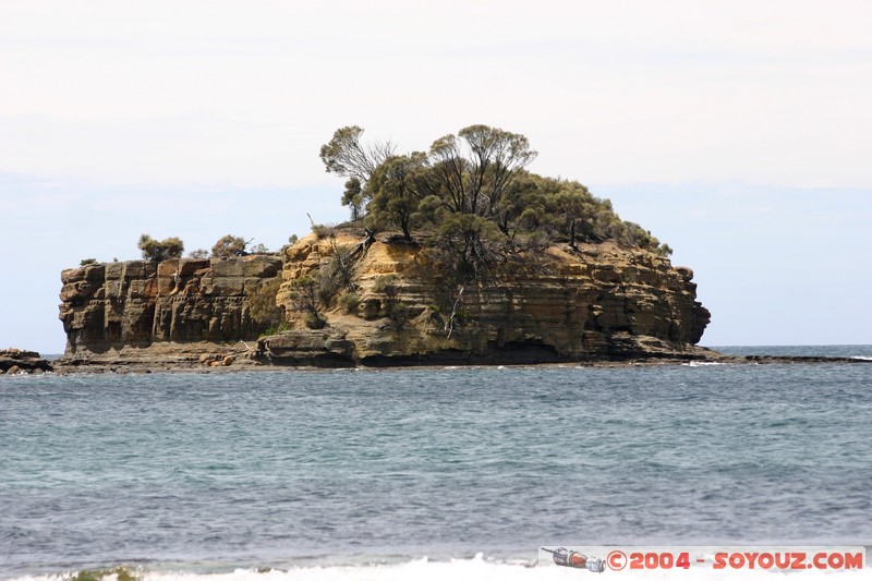 Tasman Peninsula - Tessellated Pavment
