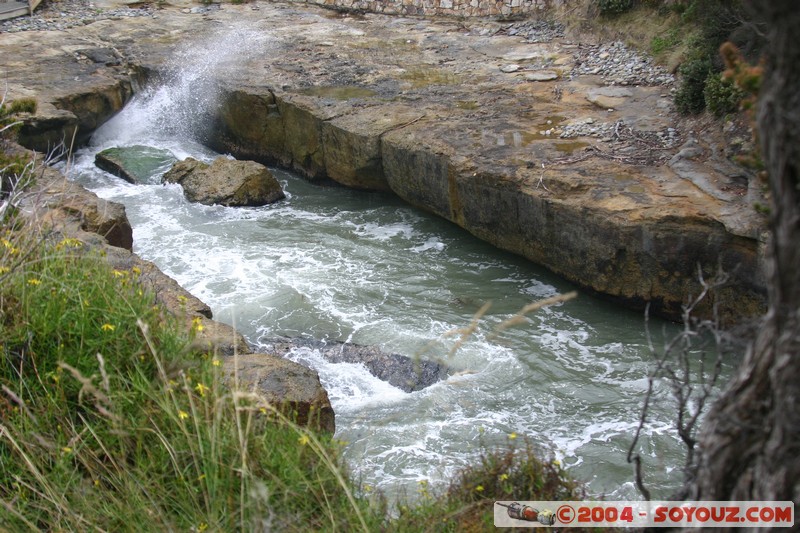 Tasman Peninsula - Tasman Blowhole
