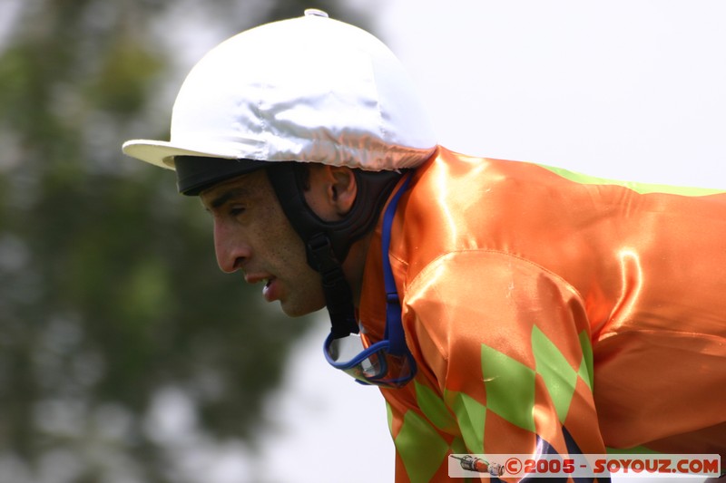 Hanging Rock - New Year Day Races
Mots-clés: sport animals cheval