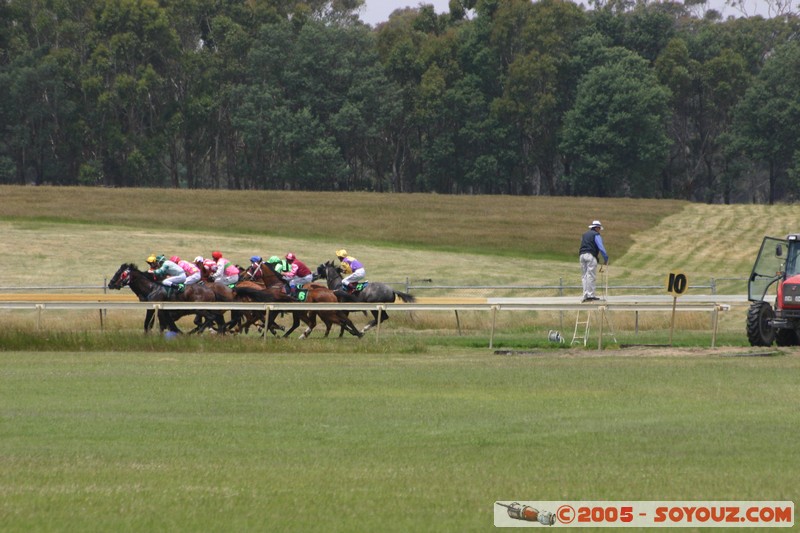 Hanging Rock - New Year Day Races
Mots-clés: sport animals cheval