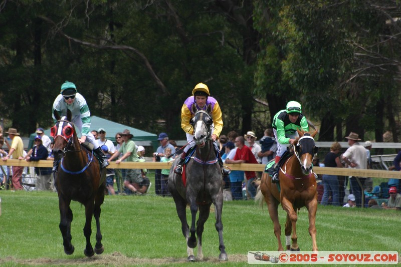 Hanging Rock - New Year Day Races
Mots-clés: sport animals cheval