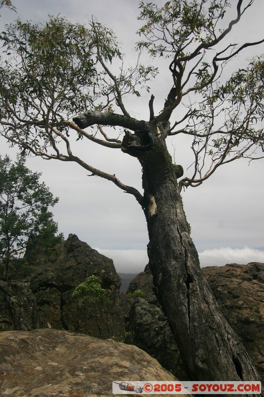 Hanging Rock
